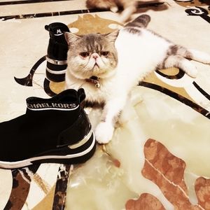 Michael Kors Platform Sneakers